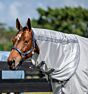 Horseware Amigo Bug Rug + Hals Zilver