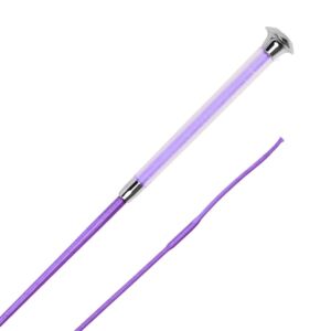 Harry's Horse Dressuurzweep Colour Lila