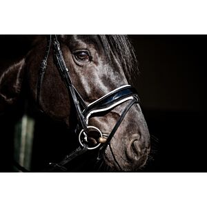 HB Showtime Hoofdstel Special Guy Zwart/wit