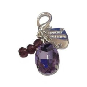 Imperial Riding Hoofdstel Bedel Paarse Edelsteen