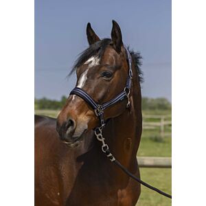 Norton Halster 4Lines Onderlegd Navy