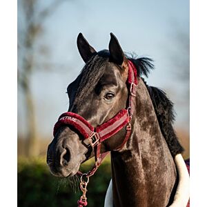 Hb Teddy Halster Showtime Burgundy