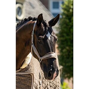 HB Halsterset Showtime Velvet Taupe