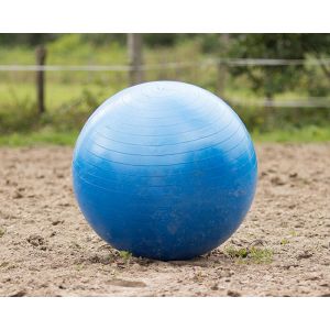 QHP Paardenvoetbal 80-100cm blauw