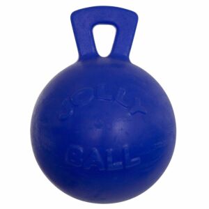 BR Speelbal Jolly 6 inch blauw