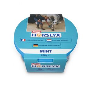 HorsLyx Mint Mini blauw
