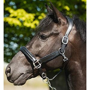 HB Showtime Leer Halster Glitty Glitter zwart/navy