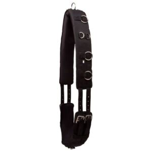 Imperial Riding Longeersingel Deluxe Zwart