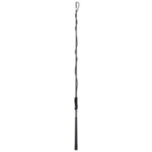 Harry's Horse Longeerzweep Carbon Telescoop Zwart
