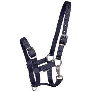 Harry's Horse Veulenhalster Navy