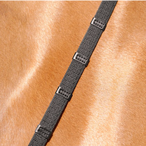 Passier Webband Teugels met leren stops 140cm