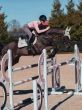 Equestrian Stockholm Zadeldek Jump Desert Rose