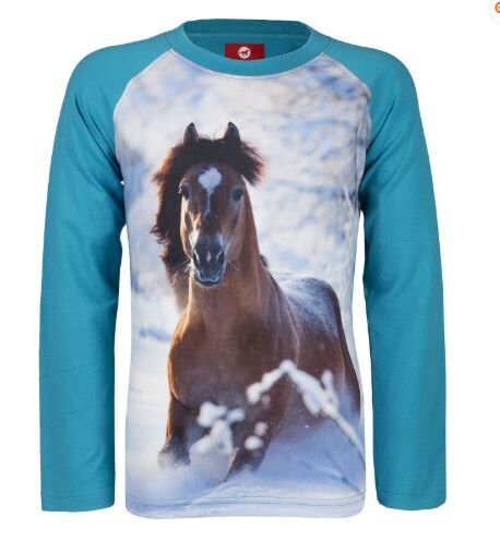 Horka Longsleeve Paard Turquoise