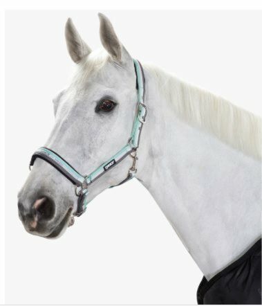 Eskadron Halster Classic ice blue