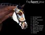 PresTeq Hoofdstel FaySport Glitter Zwart