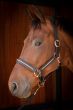 Harry's Horse Halster Leder Crystal Black-Rosegold