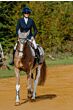 EquiTheme Oornetje Pearl Taupe