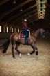 Equestrian Stockholm Zadeldek DR Crystal Merlot