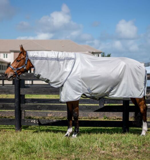 Horseware Amigo Bug Rug + Hals Zilver