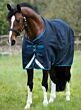 Horseware Amigo Bravo 12 Original 0 gr Navy