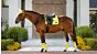 LeMieux Loire Satin Classic Dressage Kiwi