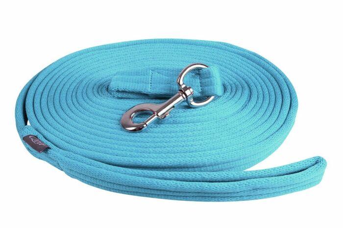 QHP Longeerlijn in Tas Sky