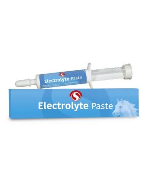 Sectolin Electrolyte Pasta 30 ml