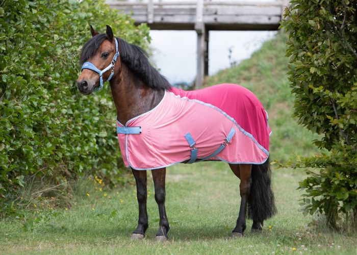 Harry`s Horse vliegendeken Pro Mesh Diva Fuchsia