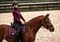 Equestrian Stockholm Zadeldek Dressuur Purple Gold