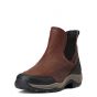 Ariat Stalschoenen Terrain Blaze H2O donkerbruin