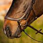 Harry's Horse Hoofdstel Anatomic Gold Bruin