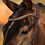 Harry's Horse Hoofdstel Anatomic Gold Bruin