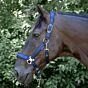 Harry's Horse Halsterset DC Satin Peacoat