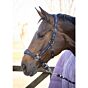 Harry's Horse Halsterset EQS Dark-Navy
