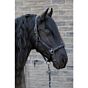 Harry's Horse Halsterset EQS Black-Sand