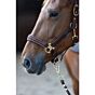 Harry's Horse Halsterset EQS Bracken
