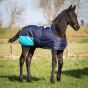 Harry's Horse Veulendeken 65 TwoTone 200gram navy