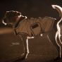 Kentucky Honden Waterdichte Reflectie deken zilver