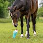 QHP Paardenspeelgoed Snackcounter Milkshake