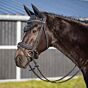 QHP Hoofdstel Glitter Zwart