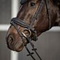 QHP Hoofdstel Glitter Zwart