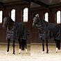 Imperial Riding Winterdeken 200gr Losse Hals Zwart