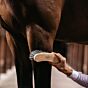 Grooming Delux Harde Borstel Naturel