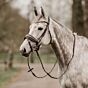 Horka Trenshoofdstel Filius Bruin/Goud