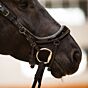 PresTeq Hoofdstel FaySport Glitter Zwart