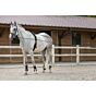 Riding World Dubbele Longeerlijn Leer zwart