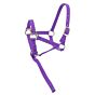 Norton Veulenhalster+Lijn Verstelbaar Paars