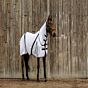 Equitheme Vliegendeken Mesh Wit