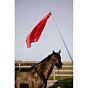 HippoTonic Trainingsstok met Vlag Rood