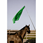HippoTonic Trainingsstok met Vlag Groen